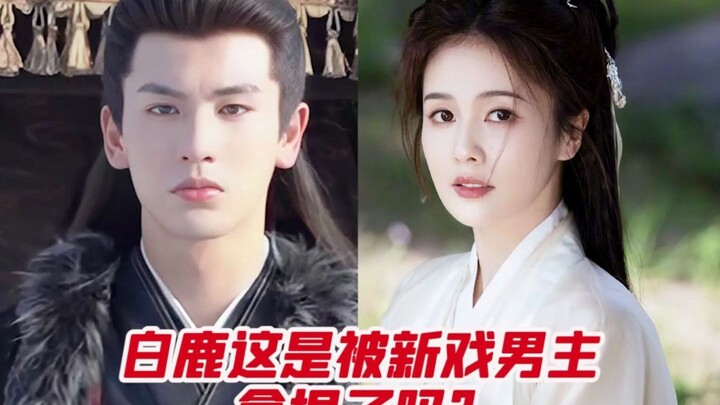 Bạch Lộc: Lúc nào cũng phải nhớ dỗ dành cặp đôi!