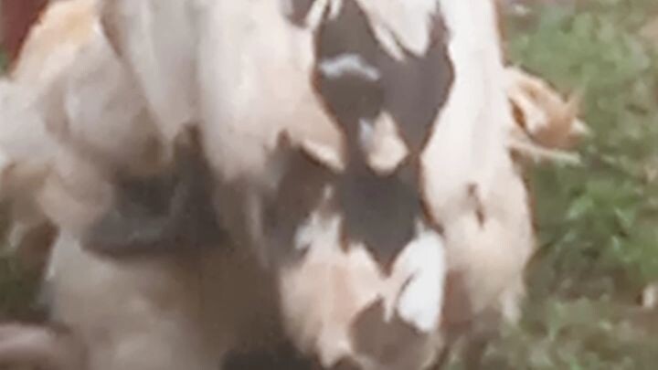 iba na talaga panahon