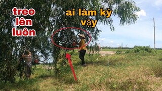 Qúa Tức Mà Đi Hái Rau Bị Tư Cà Khịa Treo Xe Lên Cây  Và Cái Kết