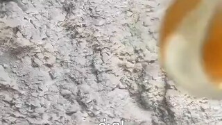 &{เต็มเรื่อง} หนุ่มจนได้ระบบทำอาหาร ข้าวซอสที่ทำ ทำให้สาวงามประหลาดใจ_