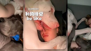 和狗一起睡觉be like...