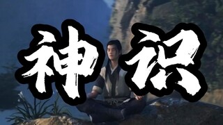 神识 是修仙者的延伸