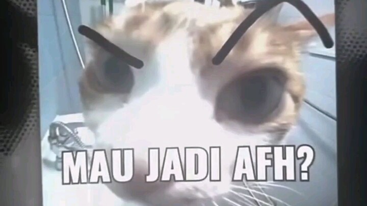 HAHAH WKWK FOTO AIB TEMAN SY BTW SY BLNG BEGITU KRN MEREKA CENGENG KAN PENDEK SAMA² KEK JODOH GITUCH