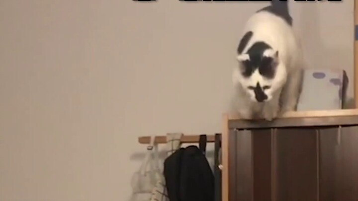 ทั้งสองฝ่ายต่างประสบความยากลำบากในการประนีประนอมกัน และบางช่วงก็รู้สึกอับอายมาก...