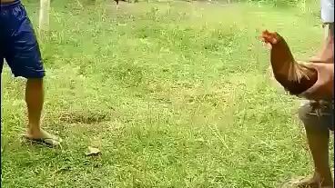 RR brother lines sparing session