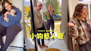 Reaksi teman-teman dan keluargaku terhadap anak anjingku sungguh mengharukan☺️