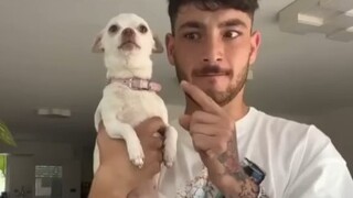 Anjing: Tuan, jangan coba-coba mengujiku lagi, kamu tahu aku kan 😥