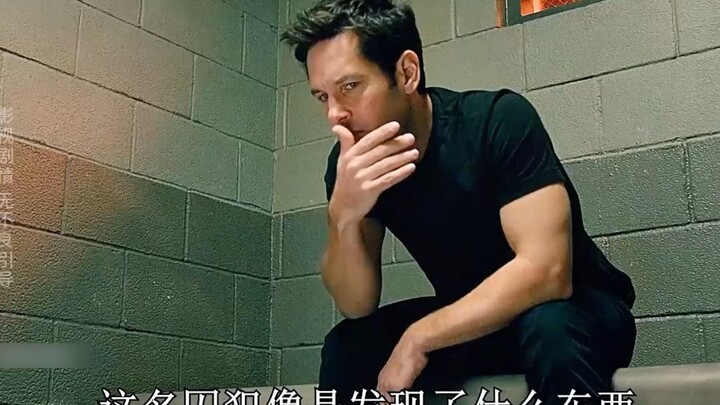 Watch the "Ant-Man 1-2" series in one sitting