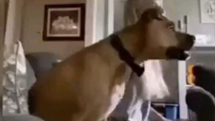 A gambling addict reincarnated!