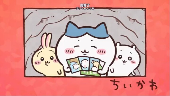 chiikawa81-90集【小可爱_吉伊卡哇_ちいかわ】