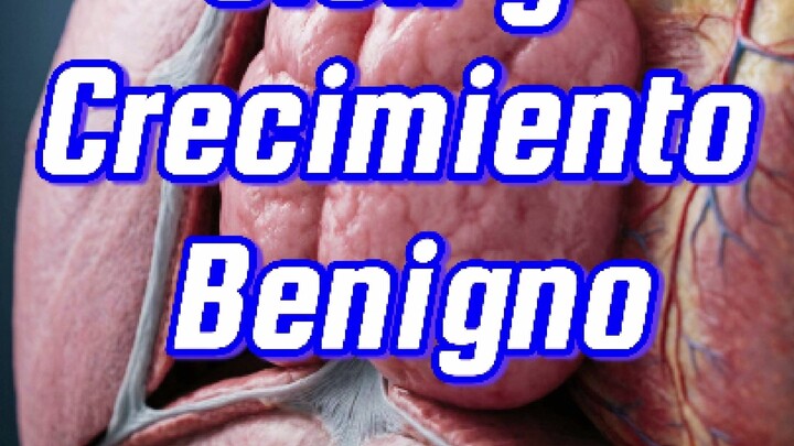 💊         𝙀𝙡 𝙩𝙞𝙢𝙤: 𝙧𝙚𝙜𝙚𝙣𝙚𝙧𝙖𝙘𝙞𝙤́𝙣 𝙮 𝙘𝙧𝙚𝙘𝙞𝙢𝙞𝙚𝙣𝙩𝙤 𝙗𝙚𝙣𝙞𝙜𝙣𝙤