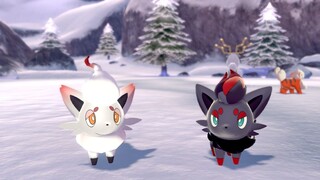 Zorua Hayes in Pokémon Sword and Shield