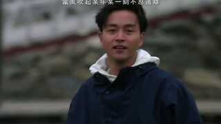 【张国荣】帅不帅这种事就见仁见智了