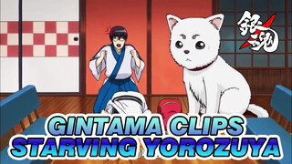 [Gintama] Yorozuya About to Starve, Gin-san Teaches Everyone How To Face Hardship Together