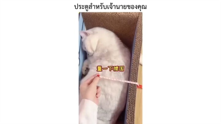 ประตูสำหรับเจ้านายของคุณ