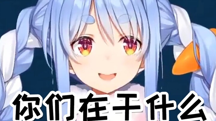 野兔子线下斗舞实录（doge）