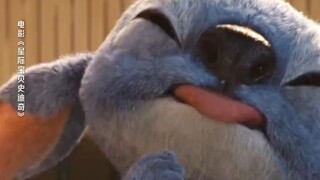 Stitch không làm mất hứng, chính là người bạn đồng hành tuyệt nhất đấy!