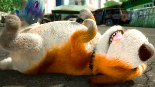 การ์ตูนสั้น 🐶🦴 เต็มเรื่อง HD การ์ตูน อนิเมชั่น สนุกๆ ข้อคิดดีๆ