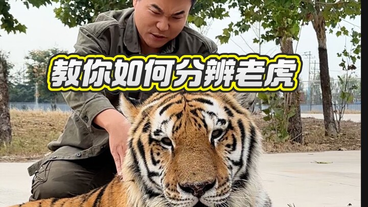คราวนี้คุณน่าจะสามารถเรียนรู้ได้แล้วใช่ไหม?