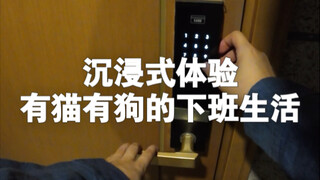 爱是一起吃很多很多顿饭