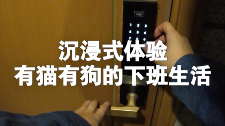 爱是一起吃很多很多顿饭