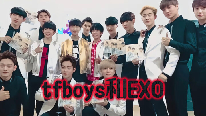 كيف تعارك هذان الاثنان في تلك السنة أصلًا؟ 😂😂