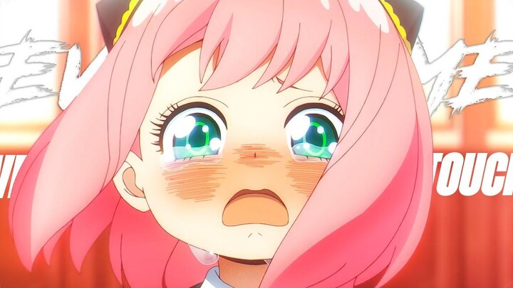 Spy x Family「AMV」ทุกครั้งที่เราสัมผัส ᴴᴰ