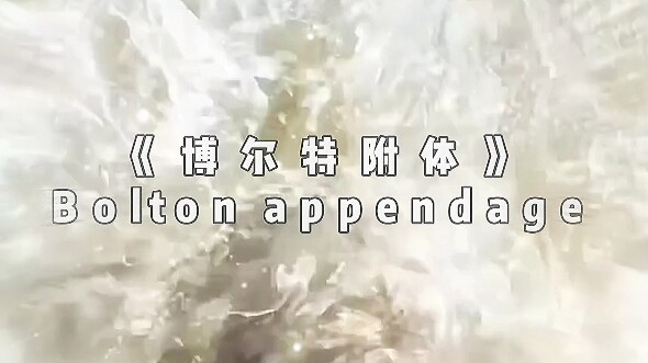 “Bolt Possession”