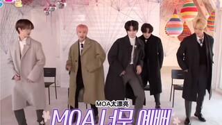 【TXT】又是跳姐姐太漂亮的档人！