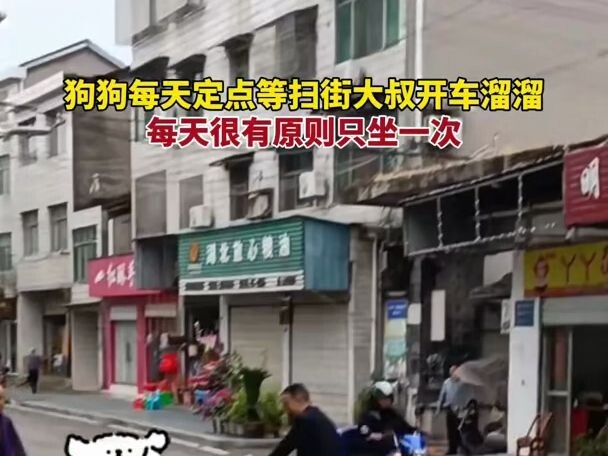 Pada 3 Oktober, di Yichang, Hubei, seekor anjing setiap hari menunggu tepat pada waktunya agar pak t