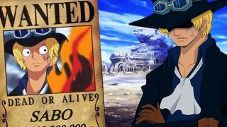 FAKTA MENARIK ORANG NO 2 DI PASUKAN REVOLUSIONER - One piece terbaru