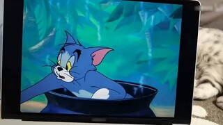 Kiểm tra các món ăn trông ngon tuyệt từ Tom và Jerry! Phô mai hạt?