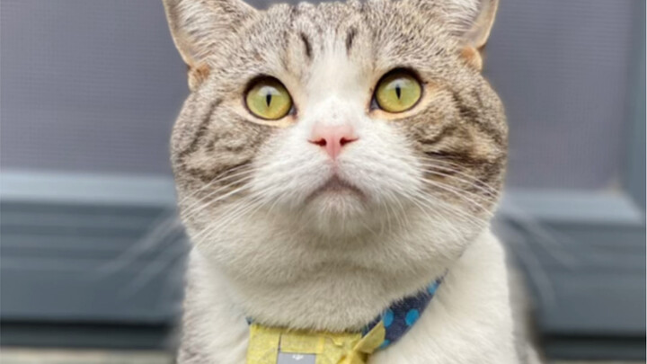 First day as a photographer for this arm-tattooed pro—what do you examiners think, is he up to the j