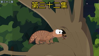 夜间偶遇穿山甲
