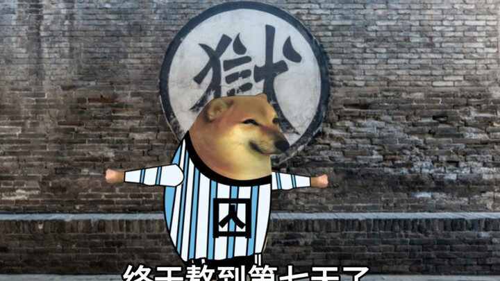 今天怎么吃这么好