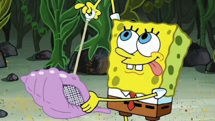 ⚡Magic Conch Shell⚡