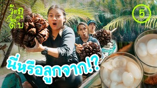 ลูกจาก ของจริงเป็นแบบนี้นี่เอง - วัตถุดิบ EP5