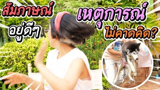 เหตุการณ์ด่วนที่สุดพึ่งเกิดเมื่อกี้ ! ใจหายใจคว่ำอิหมาบ้า - ข้าวนึ่ง & เดอะแก๊ง