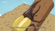 Doraemon episode 798