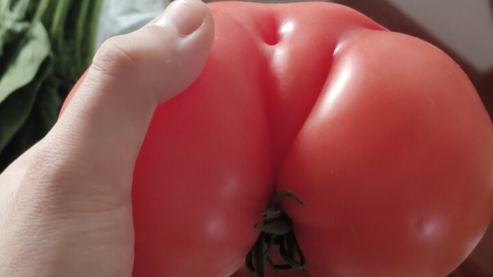 A strange tomato 🍅