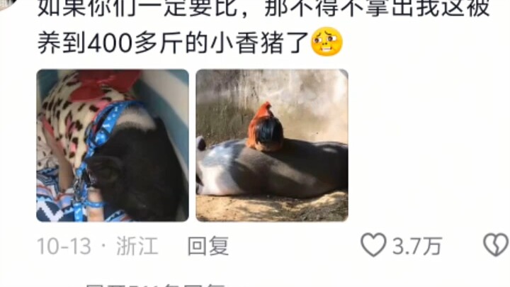 Is it okay for parents to raise a pet like this?