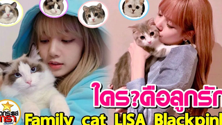 ส่องความน่ารักเจ้าแมวน้อยของ ลิซ่า Lisa BLACKPINK Family Cat s Lisa Blackpink