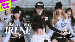裴珠泫Irene《Like A Flower》官方舞蹈版公开！