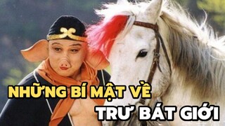 Những bí mật về Trư Bát Giới | Bạn có biết?