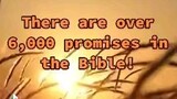 PROMISES THAT WILL NEVER BE BROKEN
