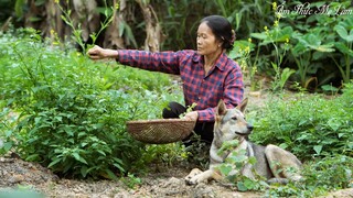 Mẹ làm bữa cơm trưa I Lấy nhót, khế chua chấm muối ớt (Silver Berries & Starfruit) I Ẩm thực Mẹ Làm