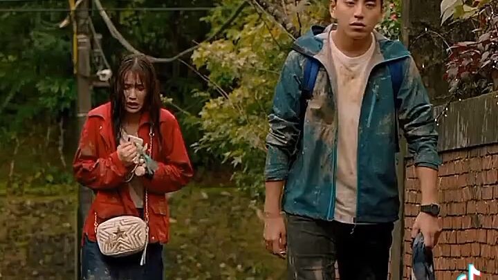 fall in love at your first kiss