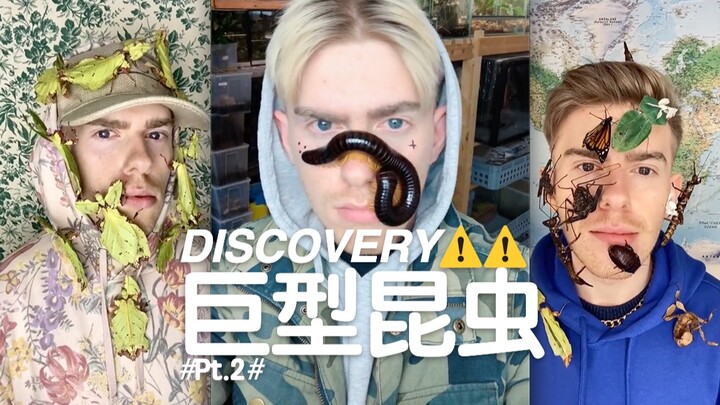 The second episode of Giant Insects is here!
