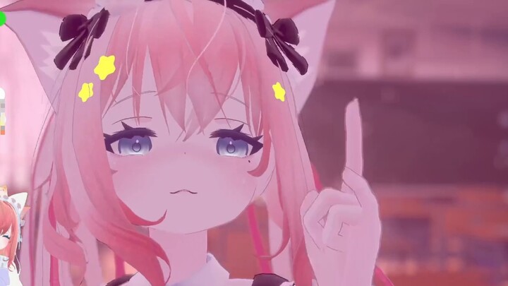 Let go of your cat qualities and enjoy your bad cat life