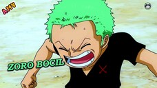 Inilah Zoro yang udah Latihan Keras dari Bocil